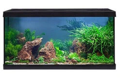 EHEIM Aquastar 54 LED Schwarz - Aquarienset -Bestes Reptilien Geschäft 0340645 EHEIM aquastar 54 LED schwarz 05