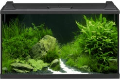 EHEIM AquaproLED 126 Schwarz - Aquarienset
