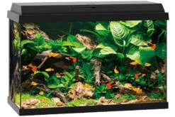 Juwel Primo 70 Schwarz Aquarium-Set -Bestes Reptilien Geschäft 13j25370 Juwel Primo 70 schwarz 3