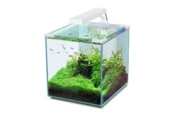 Aquatlantis Aquarienset Nano Cubic 30 LED, Weiß