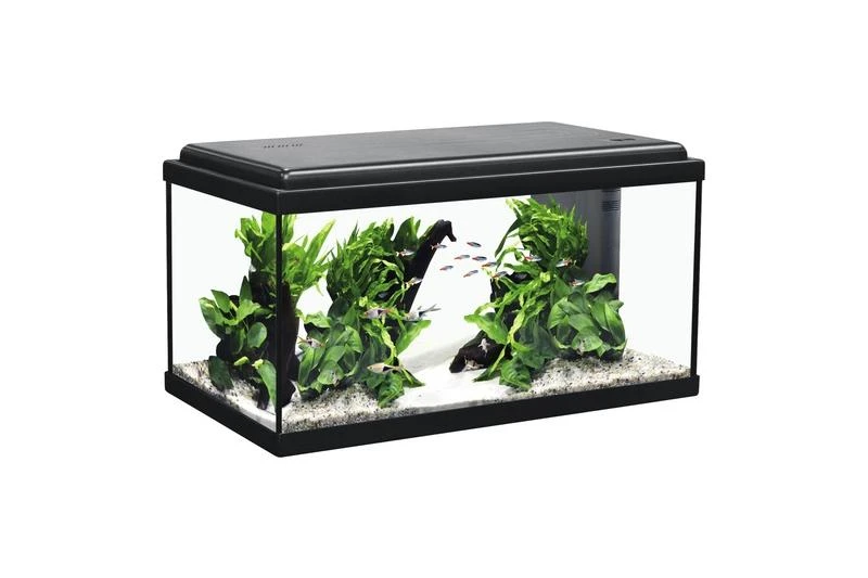 Aquatlantis Aquarienset Advance 60 LED, Schwarz 1 Aquatlantis Aquarienset Advance 60 LED, Schwarz