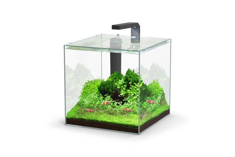 Aquatlantis Kubus 22 L LED Aquarienset 1 Aquatlantis Kubus 22 L LED Aquarienset
