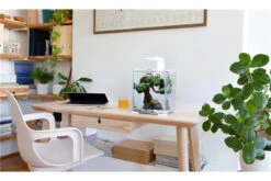 Aquael Shrimp Set Day&Night, 20 Liter Schwarz -Bestes Reptilien Geschäft shrimp set day night